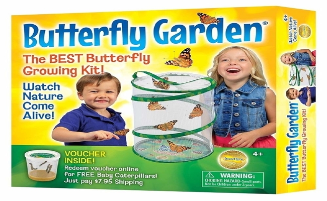 Insect Lore Butterfly Growing Kit - With Voucher to Redeem Caterpillars Later