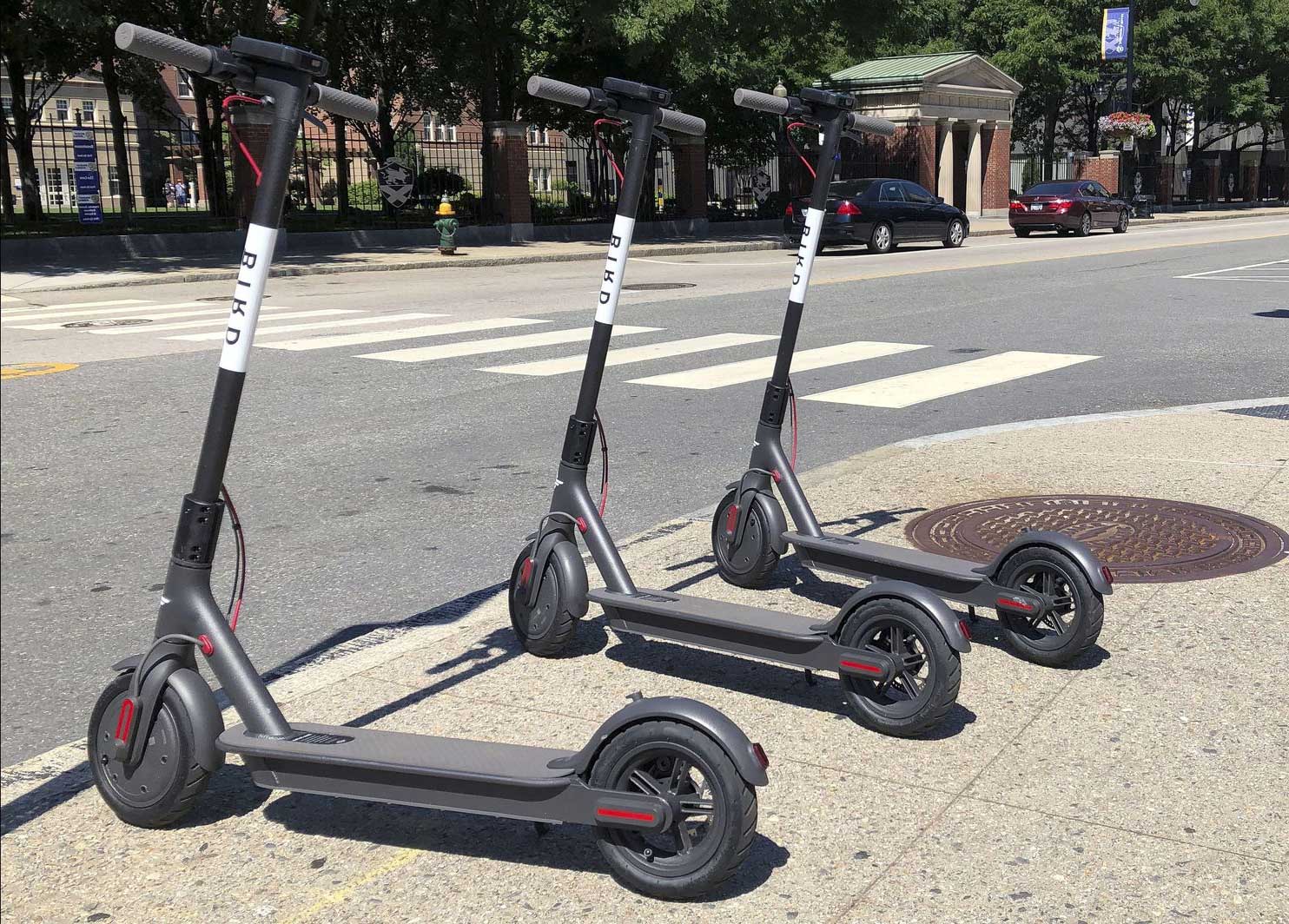 Best Electric Scooters for Adults for Easy, Cost-Effective Commute - LR