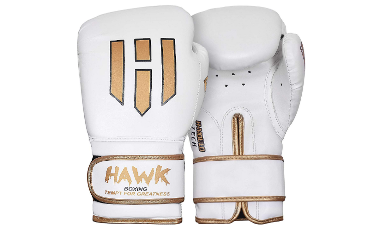Hawk Boxing Gloves for Men & Women Training